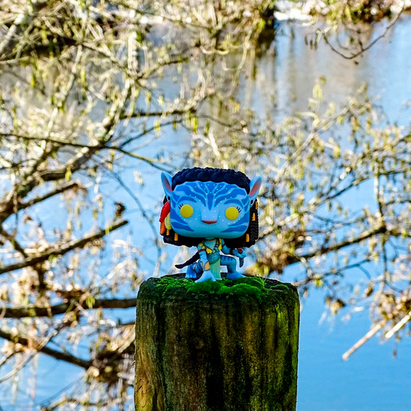 Игровая фигурка Funko Pop! Аватар Нейтири (65642) - Pampik - 6