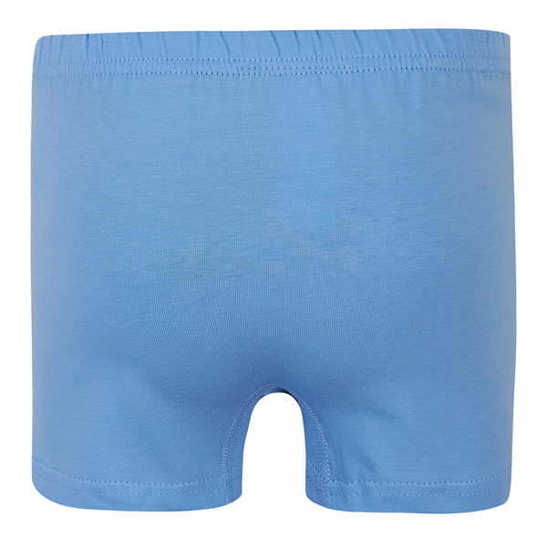 Труси-боксери Garnamama Basic boxer briefs boy 110-116 Голубой (1035660.11901212) - Pampik - 2