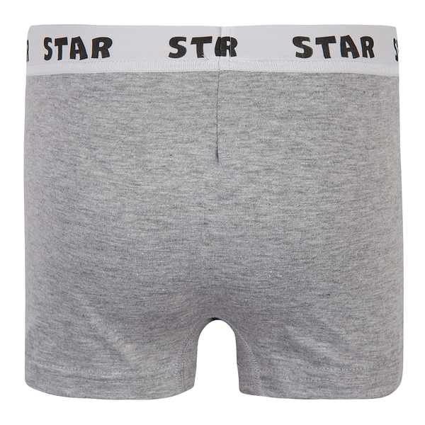 Труси-боксери Garnamama Basic STAR Boxer briefs boy 158-164 Серый (1037796.1402702) - Pampik - 2