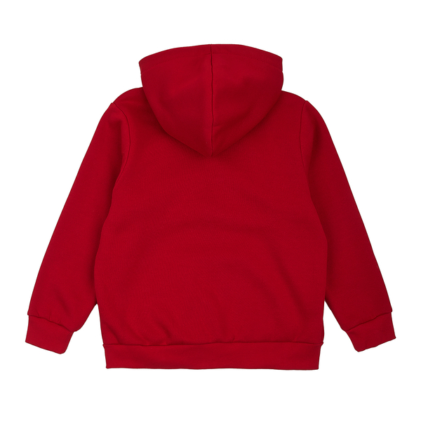 Спортивна кофта на флісі Garnamama Graffiti hoodie 1 164 Красный (1036199.1397353) - Pampik - 2