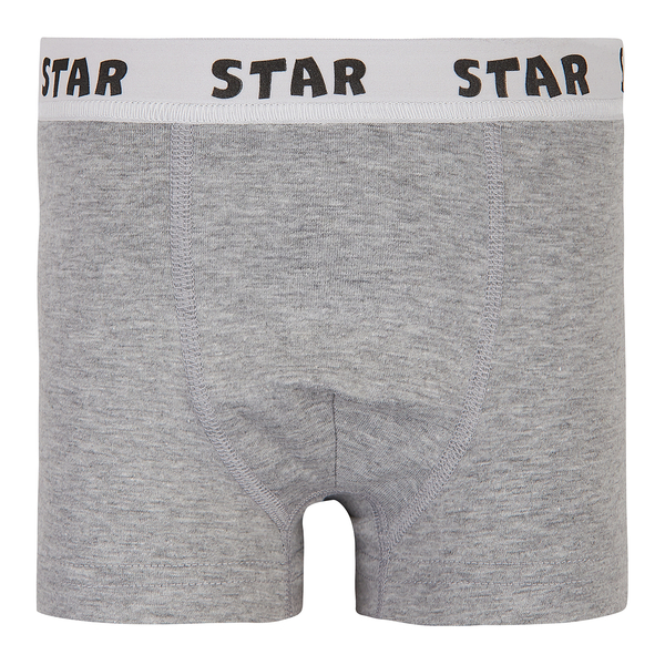 Труси-боксери Garnamama Basic STAR Boxer briefs boy 158-164 Серый (1037796.1402702) - Pampik