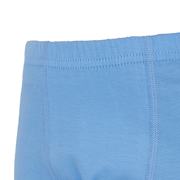 Труси-боксери Garnamama Basic boxer briefs boy 134-140 Голубой (1035662.11901212) - Pampik - 3