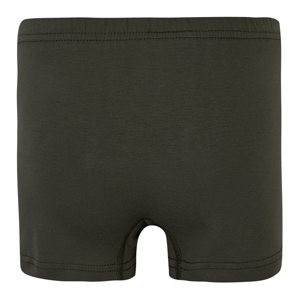 Труси-боксери Garnamama Basic boxer briefs boy 134-140 Зелений (1035678.11901210) - Pampik - 2