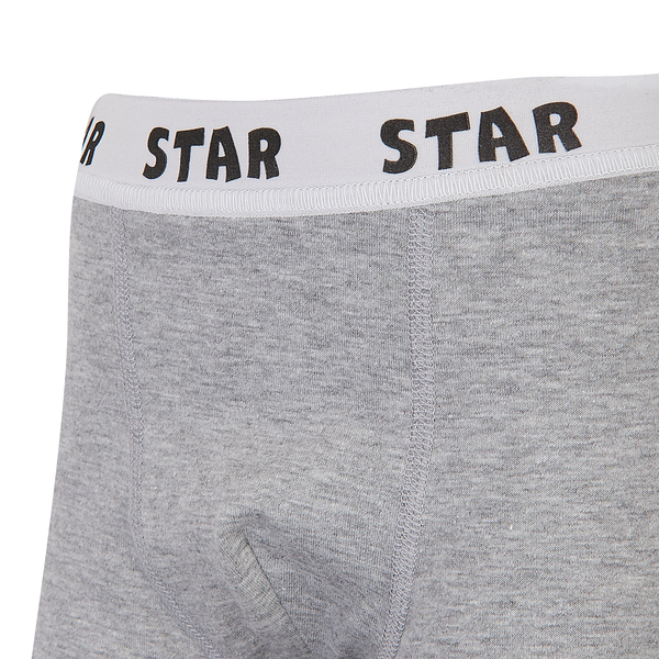 Труси-боксери Garnamama Basic STAR Boxer briefs boy 158-164 Серый (1037796.1402702) - Pampik - 3