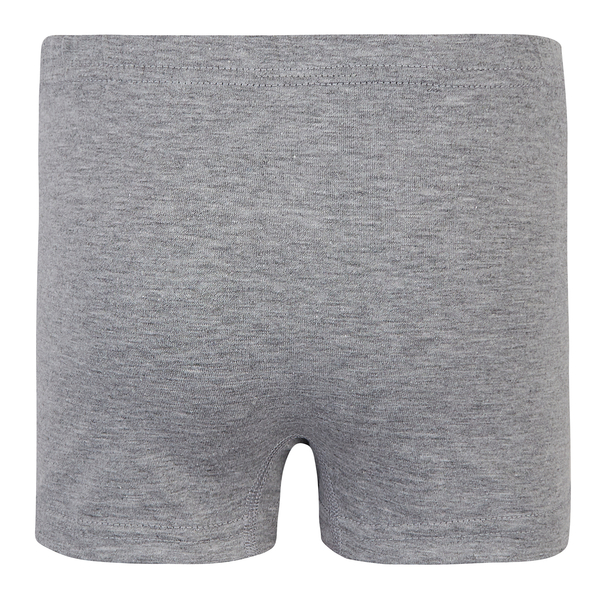Труси-боксери Garnamama Basic boxer briefs boy 110-116 Серый (830969.1190121) - Pampik - 2