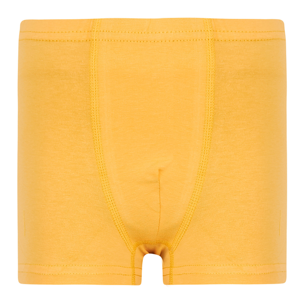 Труси-боксери Garnamama Basic boxer briefs boy 98-104 Желтый (830986.1190125) - Pampik