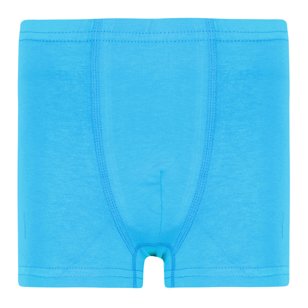 Труси-боксери Garnamama Basic boxer briefs boy 98-104 Голубой (883573.1190126) - Pampik