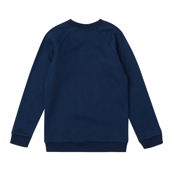 Реглан Garnamama Sleeves малюнок 98 Синий (839245.11930317) - Pampik - 2