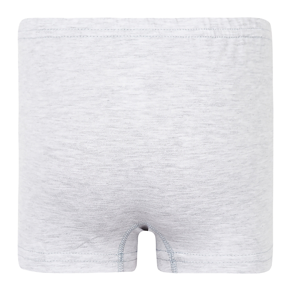 Труси-боксери Garnamama Basic boxer briefs boy 158-164 Сірий (830973.1190121) - Pampik - 4