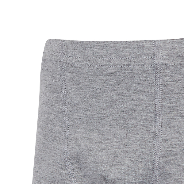 Труси-боксери Garnamama Basic boxer briefs boy 110-116 Серый (830969.1190121) - Pampik - 3