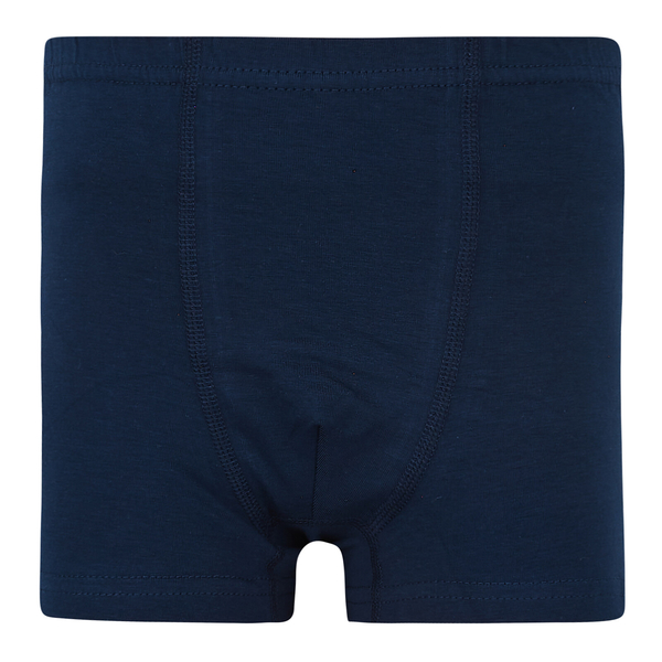 Труси-боксери Garnamama Basic boxer briefs boy 158-164 Синий (830991.1190124) - Pampik