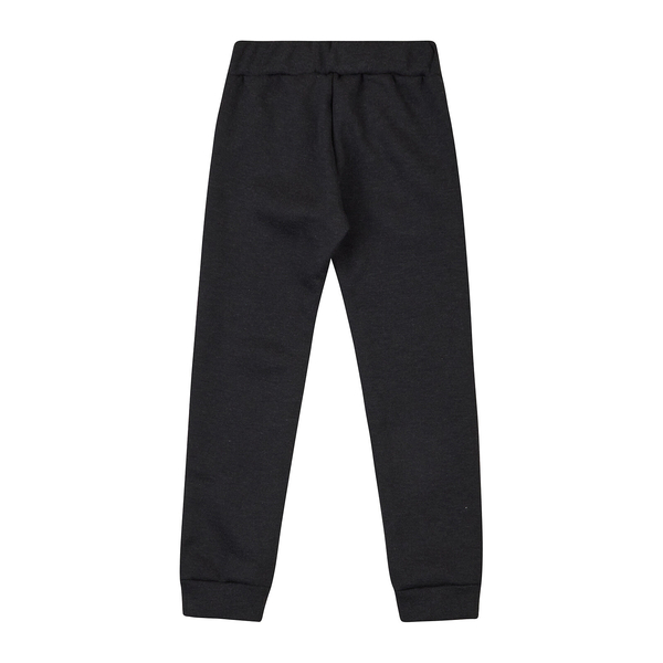 Спортивні штани на флісі Garnamama Pants girl Butterflies 110 Серый (954630.1312411) - Pampik - 2