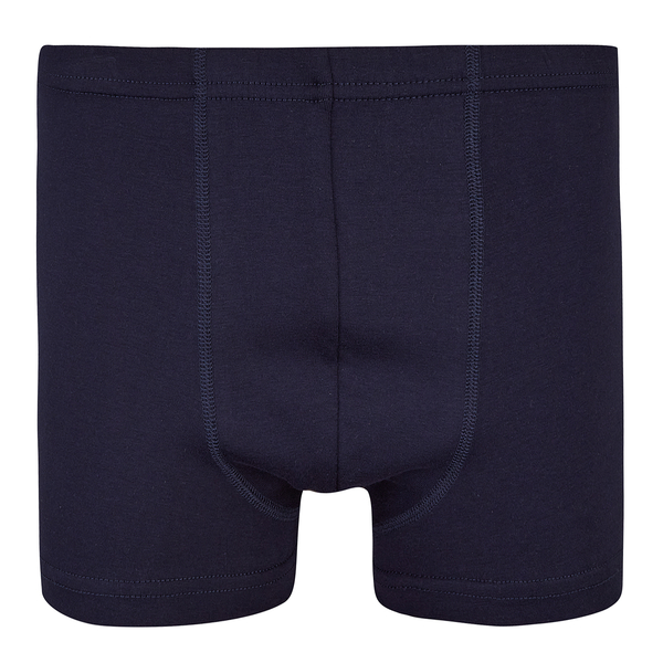Труси-боксери Garnamama Basic boxer briefs Dad L муж Синий (1035696.1238454) - Pampik