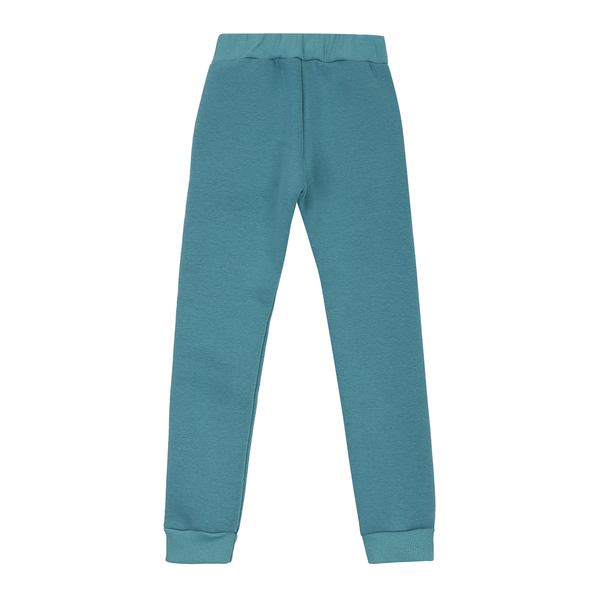 Спортивні штани на флісі Garnamama Pants girl Butterflies 140 Зеленый (1039095.13124113) - Pampik - 2