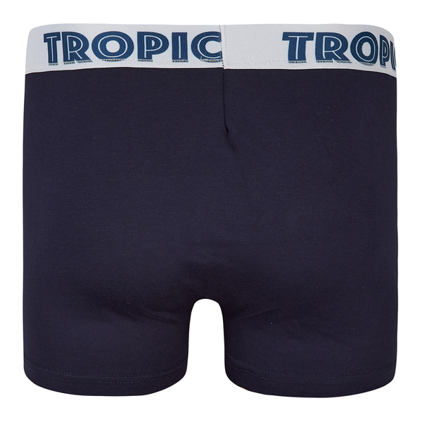 Труси-боксери Garnamama Tropics boxer briefs dad L муж Синий (1037770.1402682) - Pampik - 2