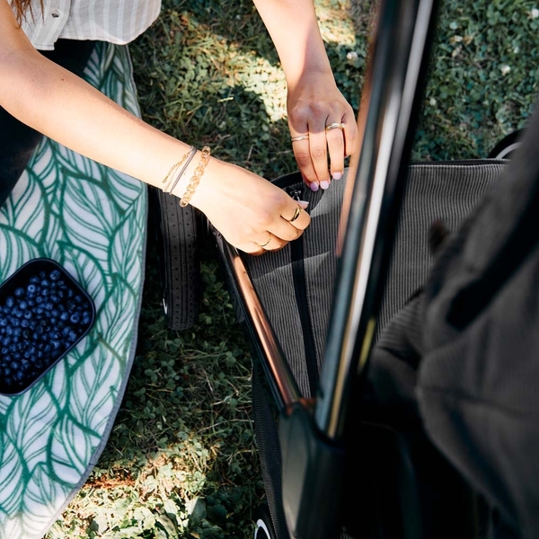 Прогулочная коляска ABC Design Samba 2 Almond (12005022504) - Pampik - 17