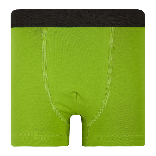 Труси-боксери Ляля К12СК113 98-104 Неопределен (1025318.11713710) - Pampik - 4