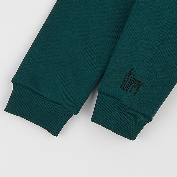 Спортивний костюм на флісі Ляля К2ТФ101 110 Зелений (1026178.11239017) - Pampik - 6