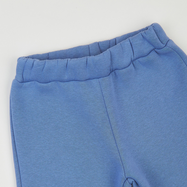 Спортивні штани на флісі Ляля 10ТФ138 92 Голубой (960292.1318013) - Pampik - 3