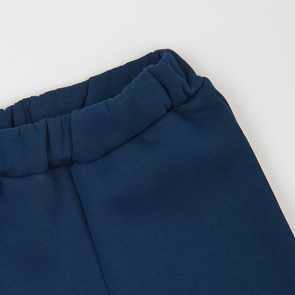 Спортивний костюм на флісі Ляля К2ТФ101 116 Синий (1026173.11239016) - Pampik - 7