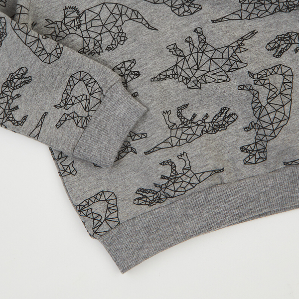 Спортивний костюм Ляля К3ДВ011 74 Сірий (1053216.1308721) - Pampik - 5