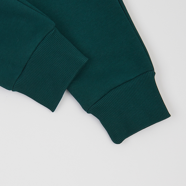 Спортивний костюм на флісі Ляля К2ТФ101 110 Зелений (1026178.11239017) - Pampik - 8