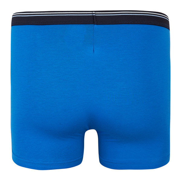 Труси-боксери Ляля К12СК113 110-116 Неопределен (1025625.1171374) - Pampik - 8