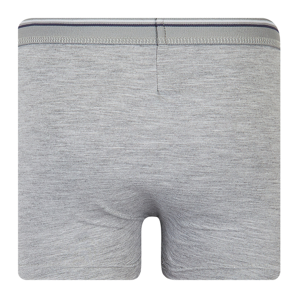 Труси-боксери Ляля К12СК113 152-158 Голубой Серый Черный (899394.1056855) - Pampik - 6