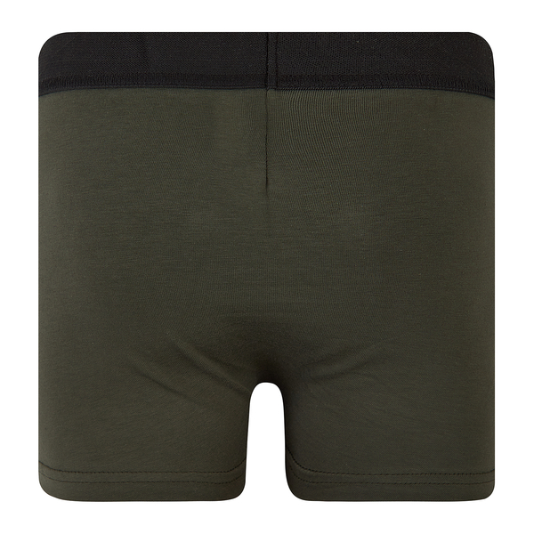 Труси-боксери Ляля К12СК113 98-104 Неопределен (1025318.11713710) - Pampik - 11