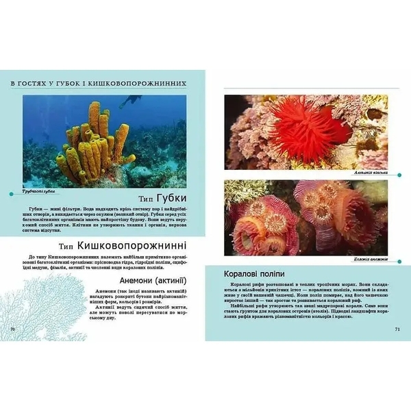 Енциклопедія для допитливих. Комахи та інші - Жабська Т. С. - Pampik - 3