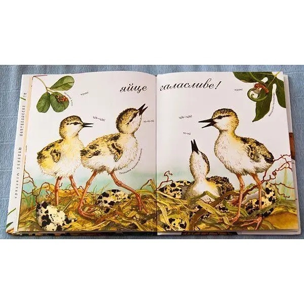 Арт-енциклопедія для дітей. Яйце безмовне - Астон Гуттс Діанна - Pampik - 7