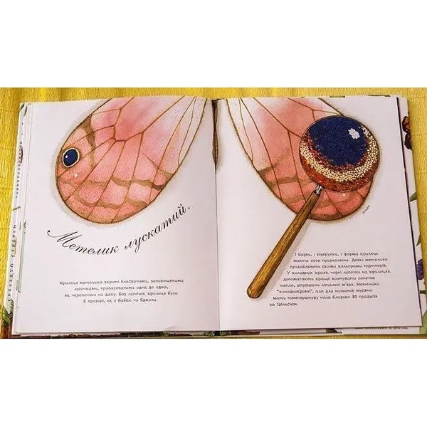 Арт-енциклопедія для дітей. Метелик неквапливий - Астон Гуттс Діанна - Pampik - 7