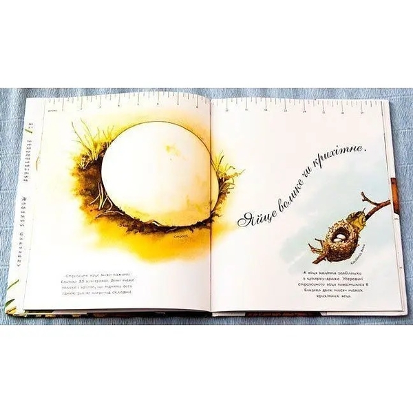 Арт-енциклопедія для дітей. Яйце безмовне - Астон Гуттс Діанна - Pampik - 8