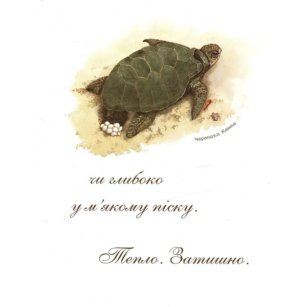 Арт-енциклопедія для дітей. Яйце безмовне - Астон Гуттс Діанна - Pampik - 6