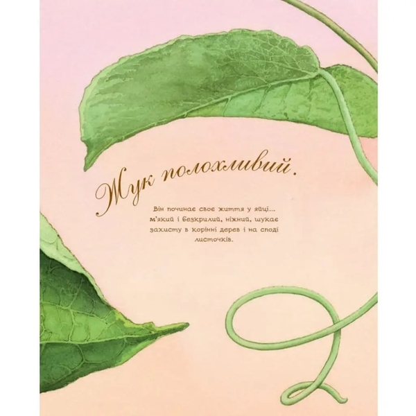 Арт-енциклопедія для дітей. Жук полохливий - Астон Гуттс Діанна - Pampik - 2