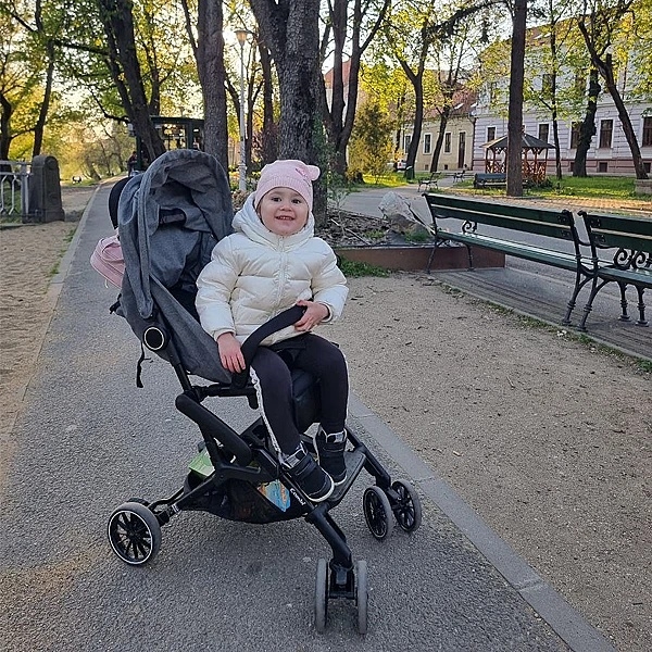 Прогулянкова коляска Combi CFS 117662, сірий + сумка-чохол у подарунок (29287) - Pampik - 6