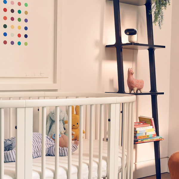 Видеоняня Motorola PIP1510, 2.4 ГГц - Pampik - 4