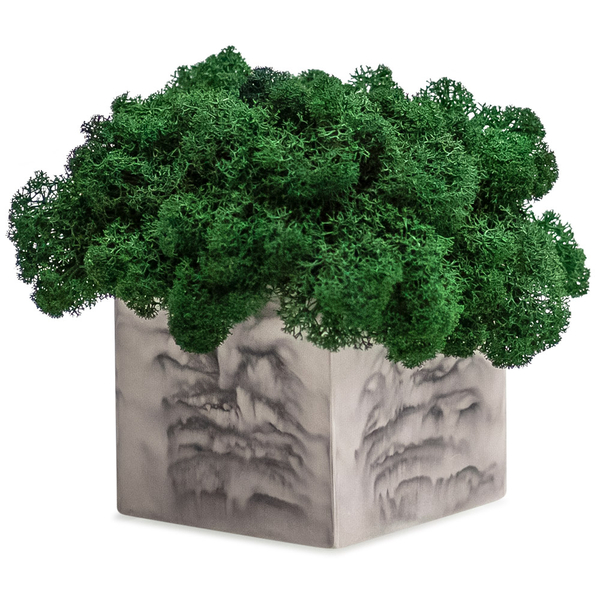 Декор Gray Marble Moss квадратний - Pampik