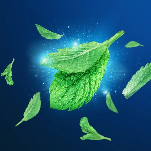 Зубна нитка Oral-b Pro-Expert Clinic Line Прохолодна м'ята, 25 м - Pampik - 3