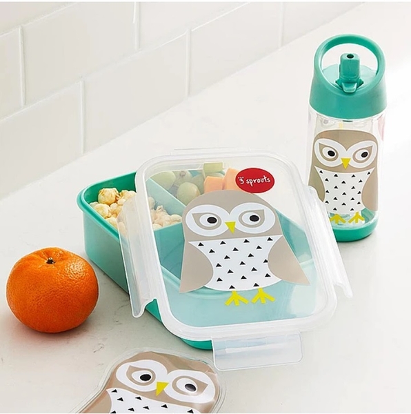 Пляшка для напоїв 3 Sprouts Сова, 350 мл, м'ятний (IWBOWL/27902) - Pampik - 2