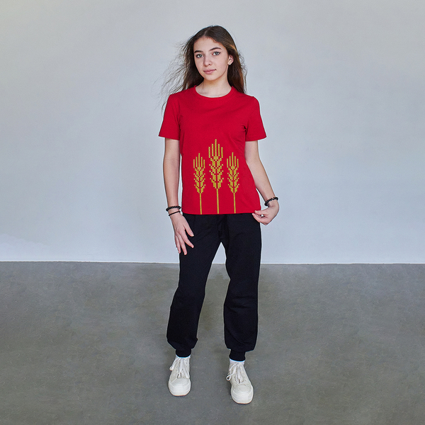 Футболка Garnamama Ukraine t-shirt Вишиванка 2025 170-176 Красный (1051278.14177521) - Pampik