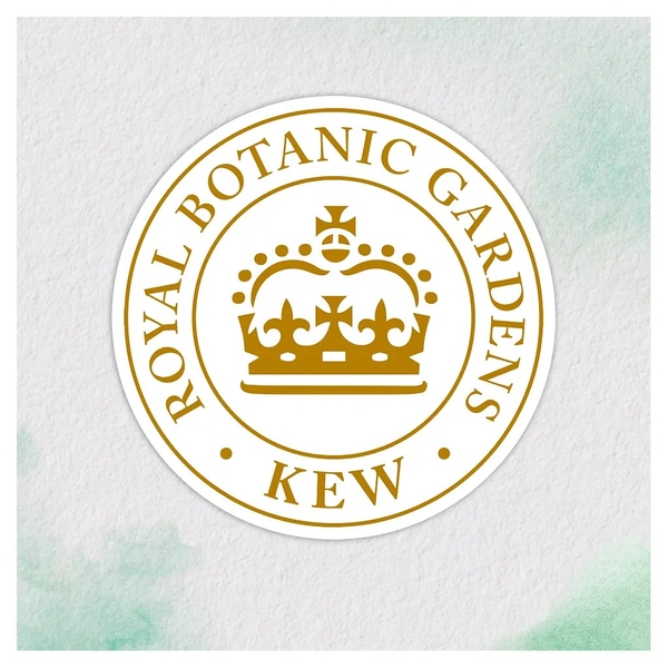 Бальзам-ополіскувач Herbal Essences Алое і масло авокадо, без сульфатів, 275 мл - Pampik - 4