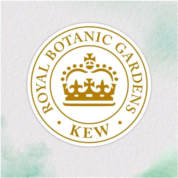 Бальзам-ополіскувач Herbal Essences Марокканська арганова олія, 275 мл - Pampik - 4