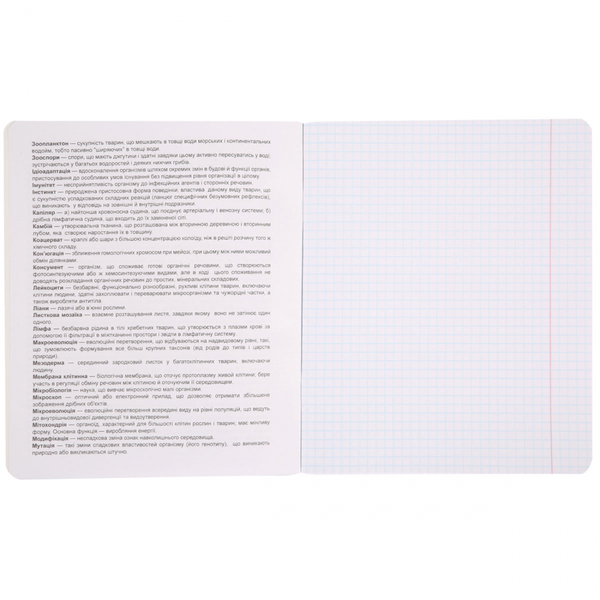 Набор тетрадей Yes Биология Ukraine forever А5, в клеточку, 48 листов, 5 шт. (766776) - Pampik - 5