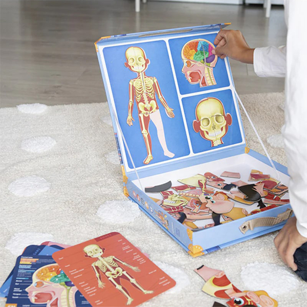Игровой набор обучающий магнитный Eurekakids Тело человека (68217010/33949) - Pampik - 4