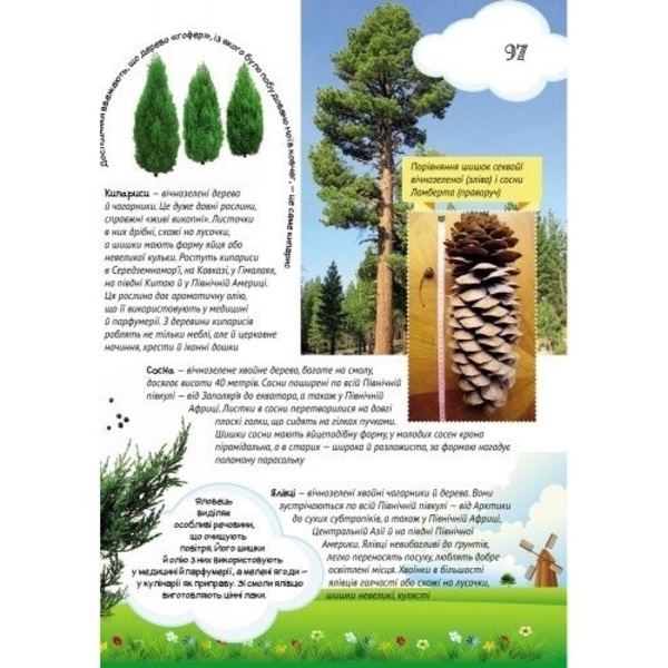 Велика енциклопедія молодшого школяра. Все про все - Яна Батій (Р900879У) - Pampik - 6