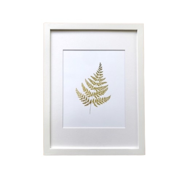 Постер Sabo Golden Fern, білий (PS07) - Pampik