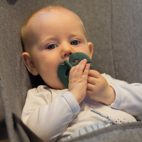 Силіконовий прорізувач Petite&Mars Dusty Rose, рожевий (701820) - Pampik - 5