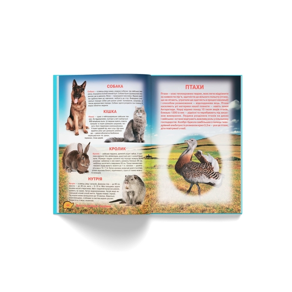 Ілюстрований атлас живої природи (F00014008) - Pampik - 9