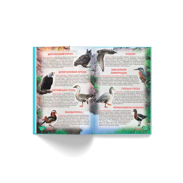 Ілюстрований атлас живої природи (F00014008) - Pampik - 11